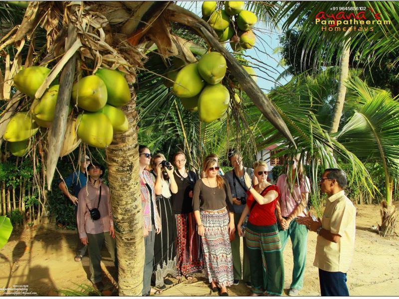 Homestay Ayana'S Homestay *
